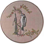 #303 Downy Woodpecker