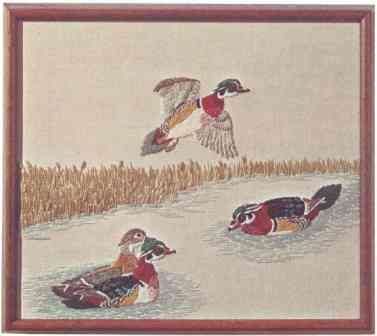 #372 Wood Ducks