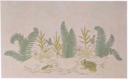 #388 Frogs And Ferns