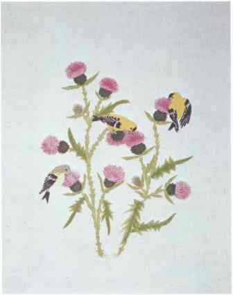 #389 Goldfinches & Thistles