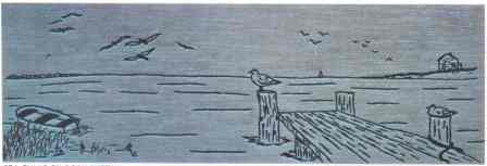 #406 Sea Gulls On Dock