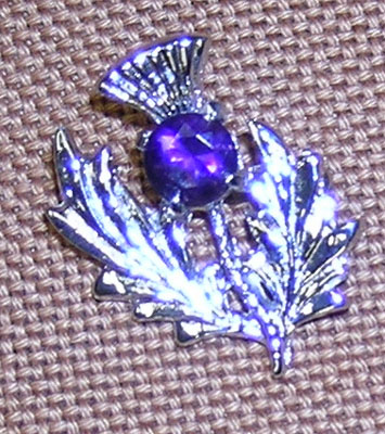 #121895 -- Small Thistle Brooch w/Purple Stone