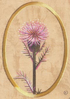#150266 -- Thistle In Oval